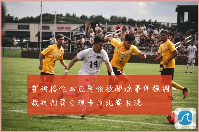 霍姆格伦回应阿伦被驱逐事件强调裁判判罚合理专注比赛表现
